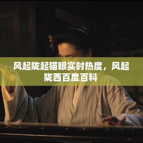 风起陇起猫眼实时热度,风起陇西百度百科
