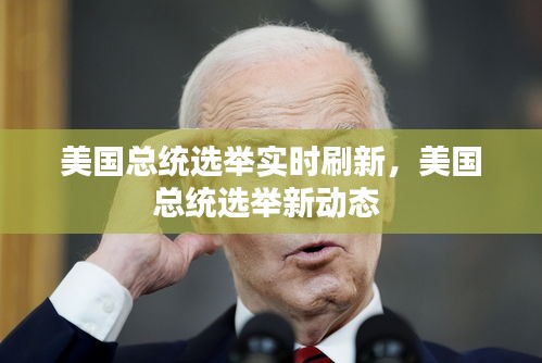 美国总统选举实时刷新,美国总统选举新动态