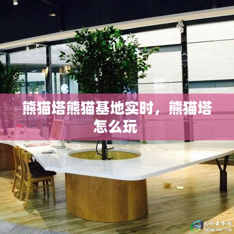 熊猫塔熊猫基地实时,熊猫塔怎么玩
