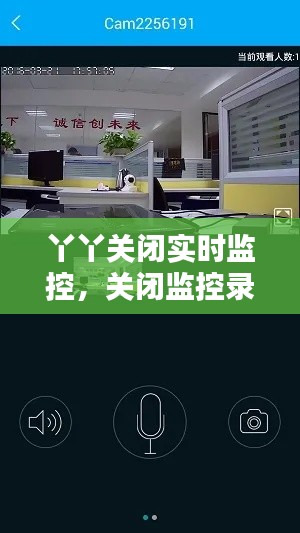 丫丫关闭实时监控,关闭监控录像