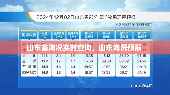 山东省海况实时查询,山东海况预报
