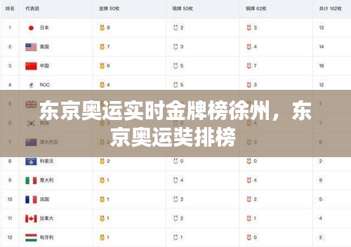 东京奥运实时金牌榜徐州,东京奥运奘排榜