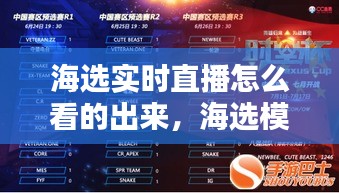 关于我们 第270页