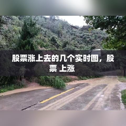 股票涨上去的几个实时图,股票 上涨