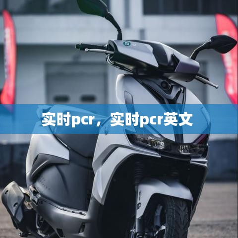 实时pcr,实时pcr英文