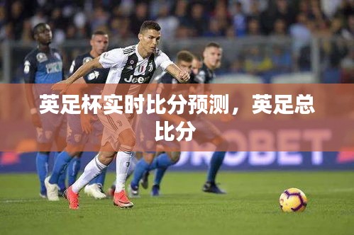 英足杯实时比分预测,英足总比分