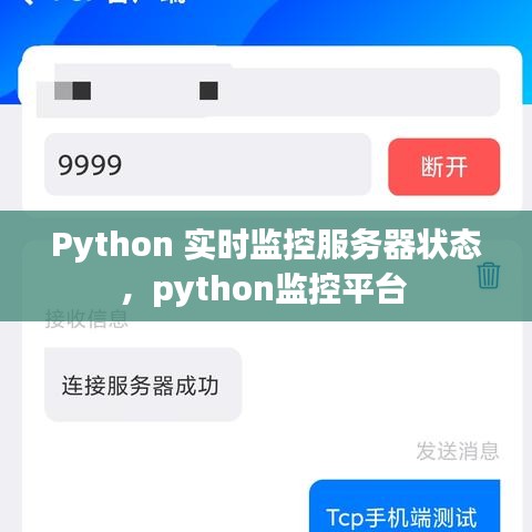 Python 实时监控服务器状态,python监控平台