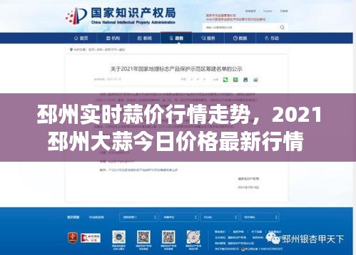 邳州实时蒜价行情走势,2021邳州大蒜今日价格最新行情