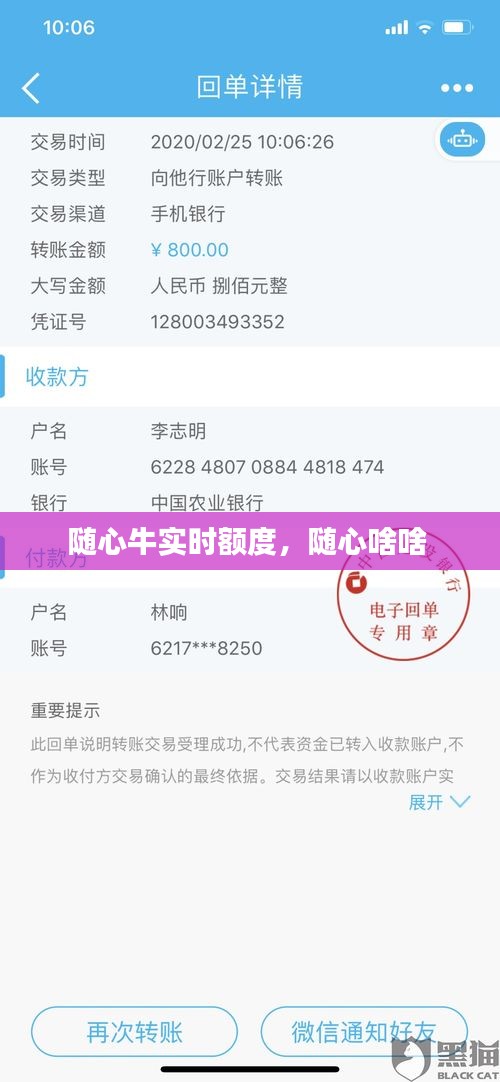 随心牛实时额度,随心啥啥