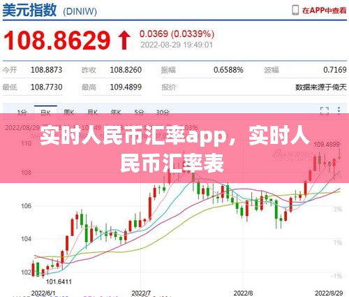 实时人民币汇率app,实时人民币汇率表