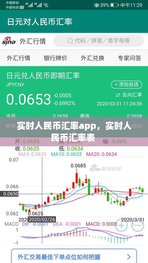 实时人民币汇率app,实时人民币汇率表