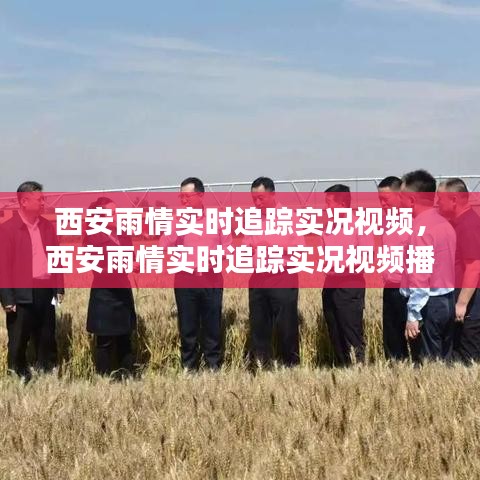西安雨情实时追踪实况视频,西安雨情实时追踪实况视频播放