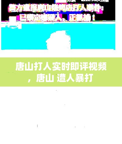 唐山打人实时即评视频,唐山 遭人暴打
