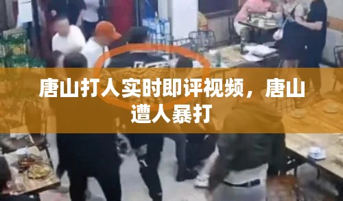 唐山打人实时即评视频,唐山 遭人暴打