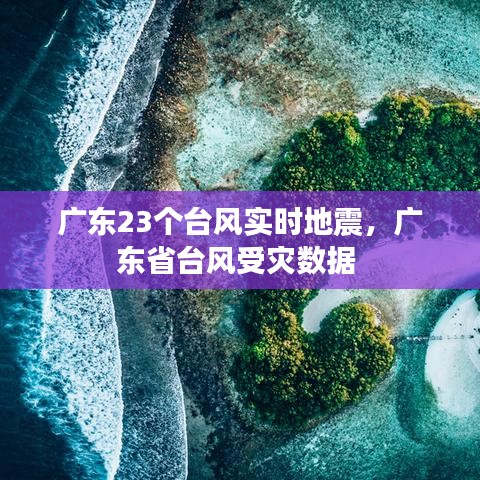 广东23个台风实时地震,广东省台风受灾数据