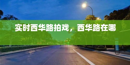 实时西华路拍戏,西华路在哪