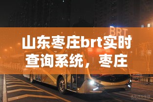 山东枣庄brt实时查询系统,枣庄brt开通