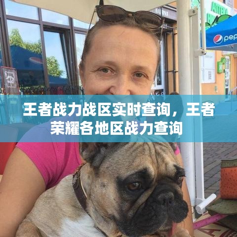 王者战力战区实时查询,王者荣耀各地区战力查询