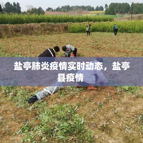盐亭肺炎疫情实时动态,盐亭县疫情