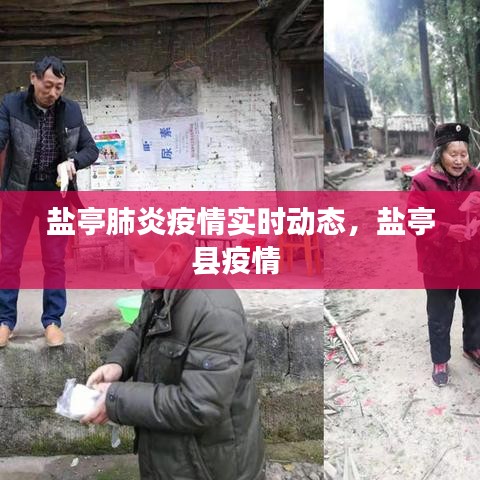 盐亭肺炎疫情实时动态,盐亭县疫情