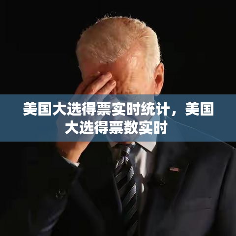 美国大选得票实时统计,美国大选得票数实时