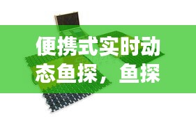 便携式实时动态鱼探,鱼探仪使用说明