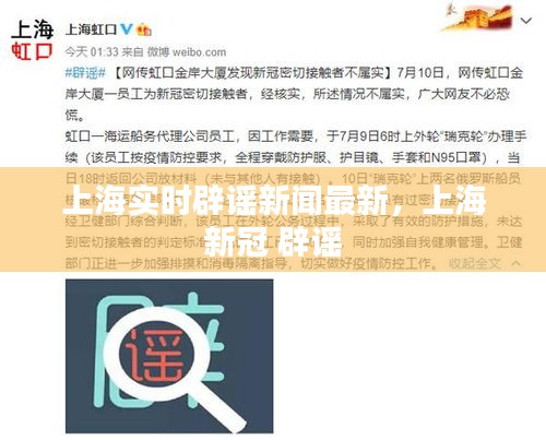 上海实时辟谣新闻最新,上海 新冠 辟谣