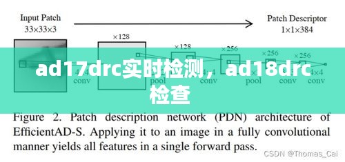 ad17drc实时检测,ad18drc检查