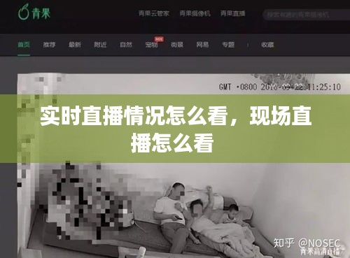 实时直播情况怎么看,现场直播怎么看