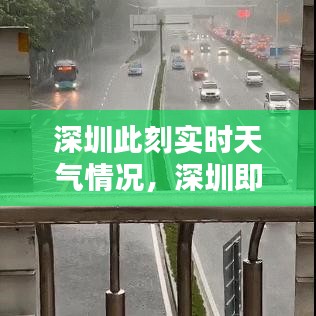 深圳此刻实时天气情况,深圳即时天气实况