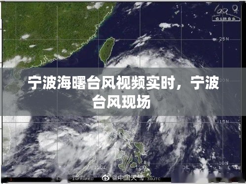 宁波海曙台风视频实时,宁波台风现场