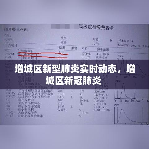 增城区新型肺炎实时动态,增城区新冠肺炎