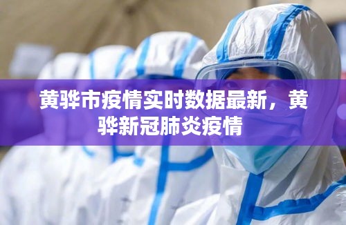 黄骅市疫情实时数据最新,黄骅新冠肺炎疫情