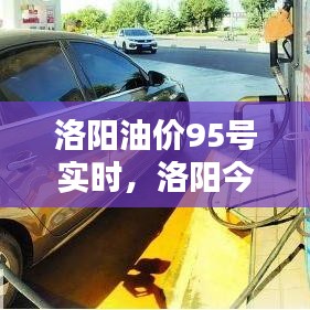 洛阳油价95号实时,洛阳今日油价查询