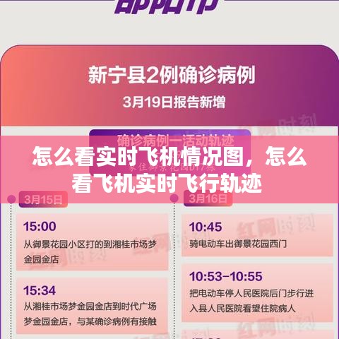 怎么看实时飞机情况图,怎么看飞机实时飞行轨迹