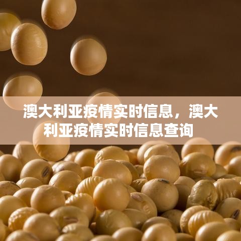 澳大利亚疫情实时信息,澳大利亚疫情实时信息查询