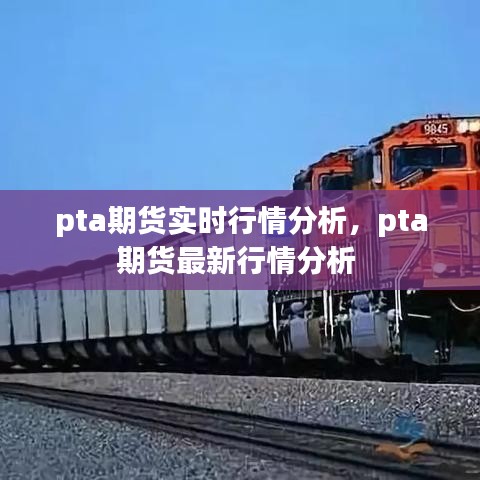 pta期货实时行情分析,pta期货最新行情分析