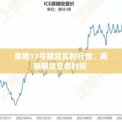 美糖13号期货实时行情,美糖期货交易时间