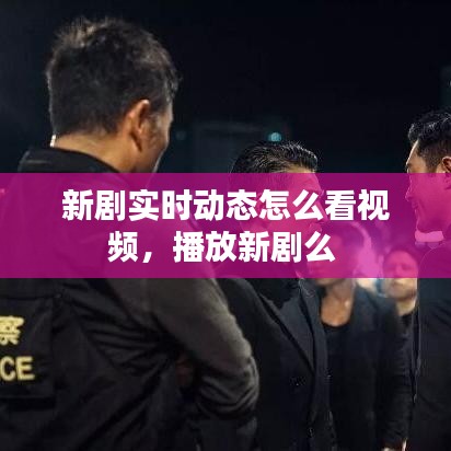 新剧实时动态怎么看视频,播放新剧么
