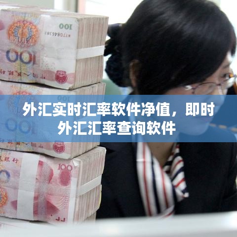 外汇实时汇率软件净值,即时外汇汇率查询软件