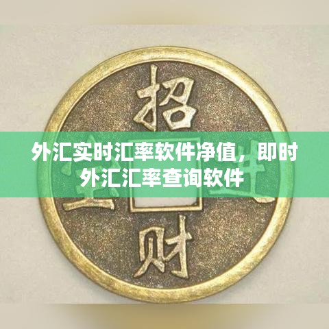 外汇实时汇率软件净值,即时外汇汇率查询软件