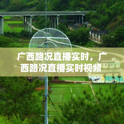 广西路况直播实时,广西路况直播实时视频