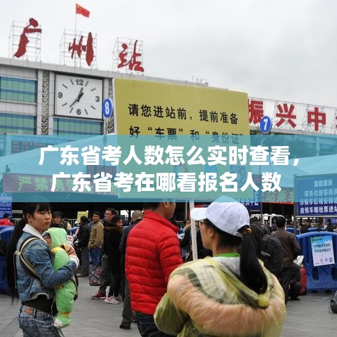 广东省考人数怎么实时查看,广东省考在哪看报名人数