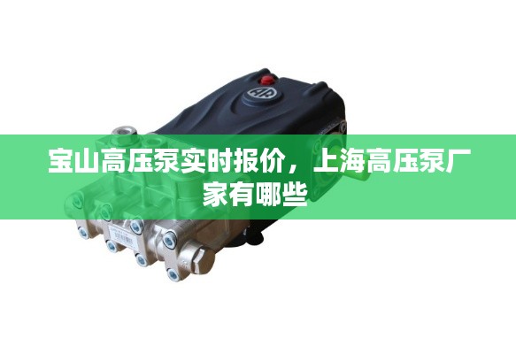 宝山高压泵实时报价,上海高压泵厂家有哪些