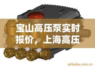 宝山高压泵实时报价,上海高压泵厂家有哪些