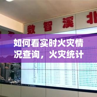 如何看实时火灾情况查询,火灾统计数据去哪里查
