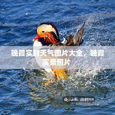 晚霞实时天气图片大全,晚霞实景照片