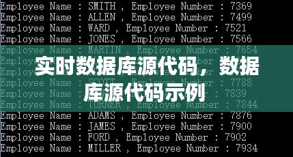 实时数据库源代码,数据库源代码示例