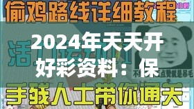 2024年天天开好彩资料:保持活力与激情的日常技巧