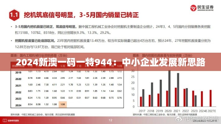 2024新澳一码一特944:中小企业发展新思路